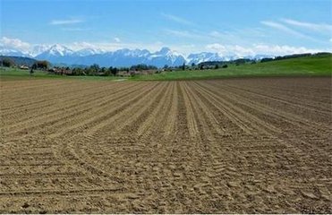 �������D(zhu��n)���Ə�(f��)�Ϸ��Ј�(ch��ng)���°����(f��)�Ϸ��Ԍ��P��(w��n)�\(y��n)��