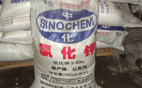 �Ȼ�⛞�ʲô�q���q�Þ�ʲô�@ô�ͣ�