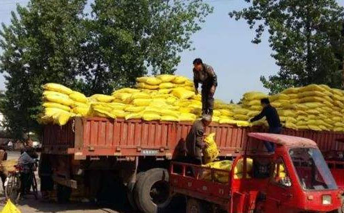 ��һ݆�����Ј��ٴΆ������ֲ����؃r��������