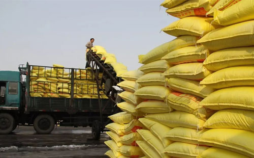 ��N����Ӱ�֮�£��AӋ���ء�Һ���r����л���