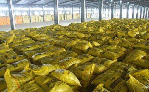 ���@������𣬏S������ʲô�ӵČ��ߣ�