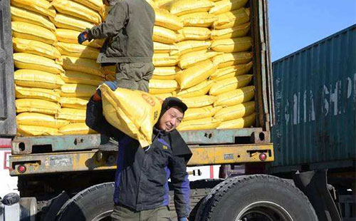 �׷��Ј������������������Խo�ʺ͇����Ј�ռ�����@�����