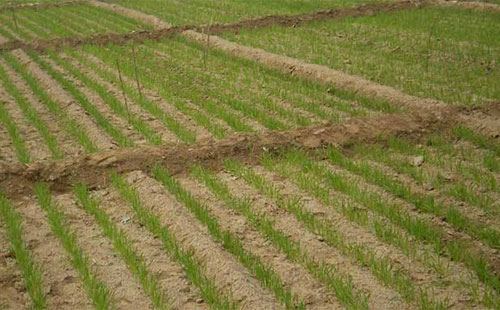 С���Nֲ��e�p�٣������N���cȥ��ͬ����ȸ��ӑK��