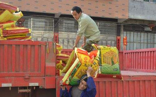 �׏�(f��)�ʕ��h�^�󣬻��������Ƿ�Ҳ��ȥ��ġ��q�r�����أ�