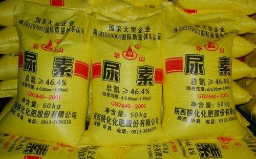 ������؛���� ���@�r�����\��