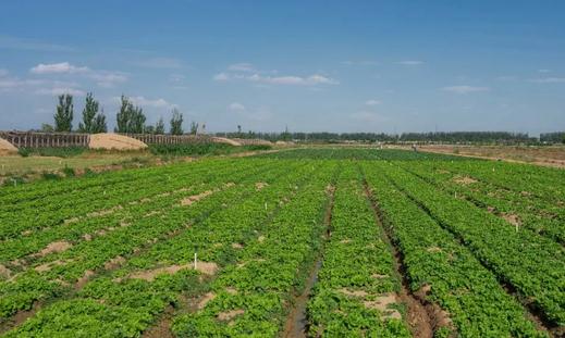 ���S�r���m(x��)�ߵͣ�������300Ԫ/������ǰ����؛�C�����I(y��)��(n��i)��ʿ�A�y��(ji��)�����؃r��؝q��