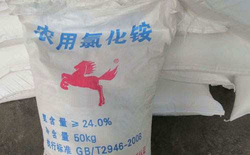 ӡ��δ�o������������֧�Σ��Ȼ��@�Ј�����ΰlչ����