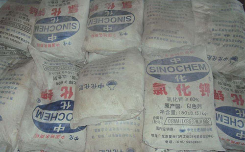 2019���Ȼ�⛕���Ц�_�˻���߀��ƨ���_���أ�