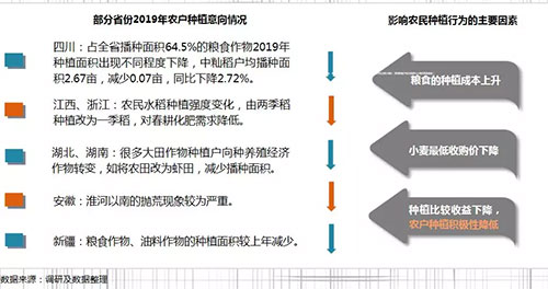 2019�괺������(n��i)�����Ј���r����������A(y��)�y