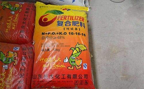 �ͺϷʃr���С��ԇ̽���{���������L�����镺������