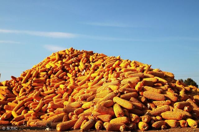 ����30�f�������M���Ї��Ј������׷��Ј�Ҫ���������ˣ�