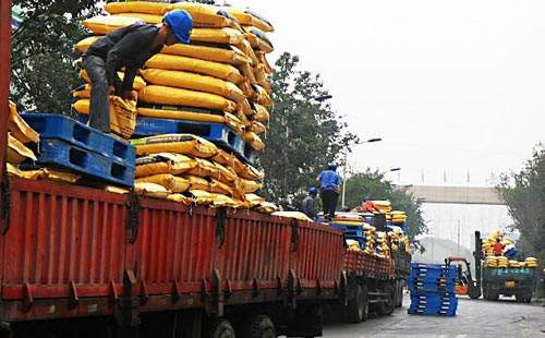 �r�I����������m�ߝq���ͺϷ��Ј��{�q�Շ����