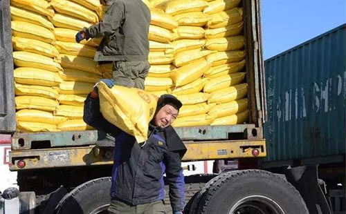 ���؈�rС�������������ڏͺϷʁ��f����߀�Ǳף�