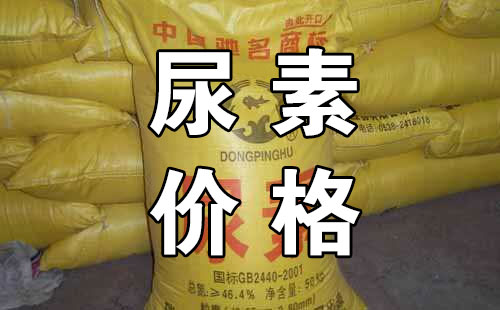 2019��5��8���������؃r�������߄�