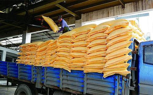 �����Ј����ֺ�P���׷��Ј����m(x��)����