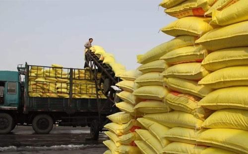 �����Ј��r��̕����ֺ󣬻�ӭ��һС���ϝq����