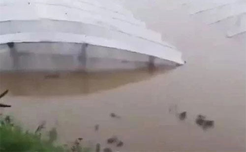 ���_(t��i)�L(f��ng)�������R��Ӱ푣����ڻ����ИI(y��)��(sh��)����ɛ_��