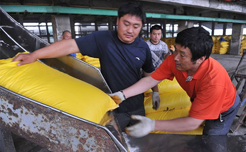 ���@�Ј���������m�������������뽩��