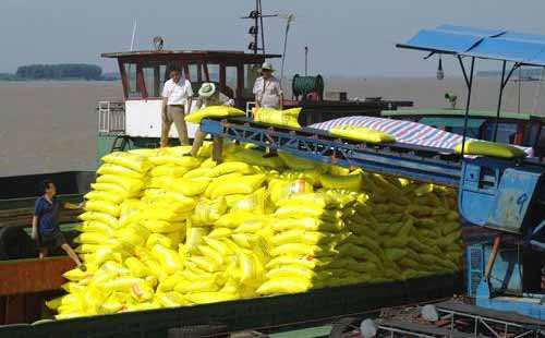 2019���ϰ��껯�ʇ��H�Ј��r�����w̎�����Р�B