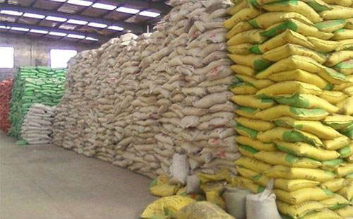 �＾���M(j��n)���Ј��N��������������F(xi��n)�cȥ�������ͥ