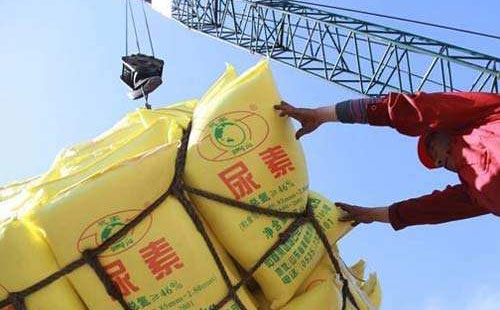 ����Ј����M�����������Ј�����߀�����D�C����