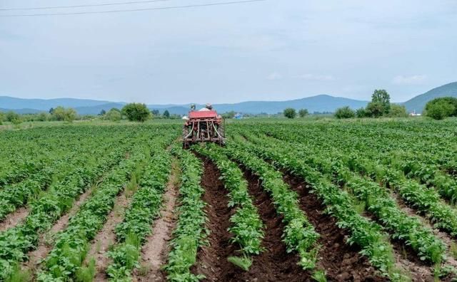 ���ʜp������(j��ng)�N(xi��o)�̷����ʲô��׃���Ј�(ch��ng)��֣�