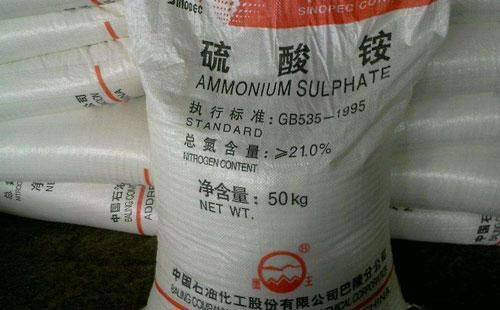 ʮһ�������@�Ј��r�����µ������m߀���µ��᣿