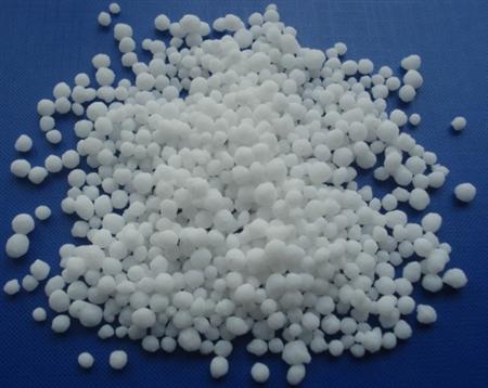 2020��1��9������⛷ʃr�������߄�