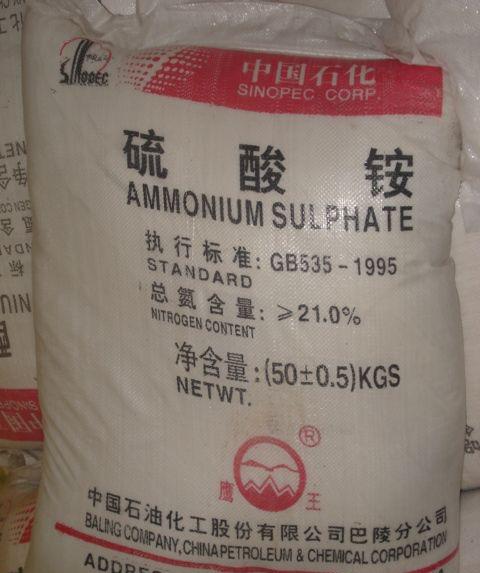 �����@�r���M���λ�^�g