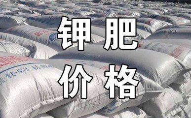 ⛷ʣ��a(ch��n)��������(w��n)�� �r���y��̧��