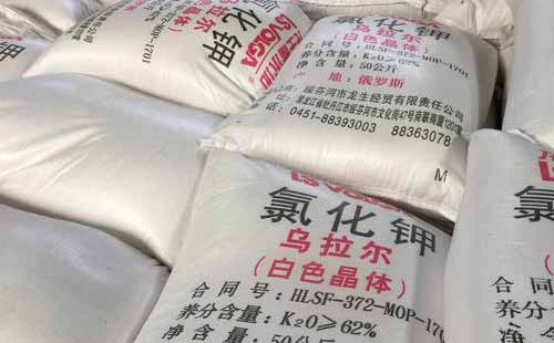 �Ȼ���M���Y�|�����١��_�l����������_ʼ