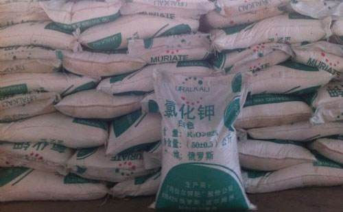 ⛷��Ј��r�����w������δ���A�y�����ַ���