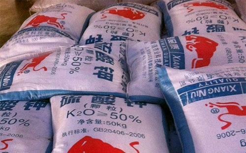 �����@�r�����w���µ�������Ŀǰ�����{100Ԫ