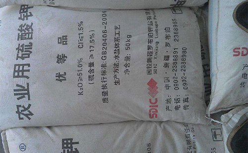 ������Ј�����խ�����Ӟ������AӋ���л򌢾�������