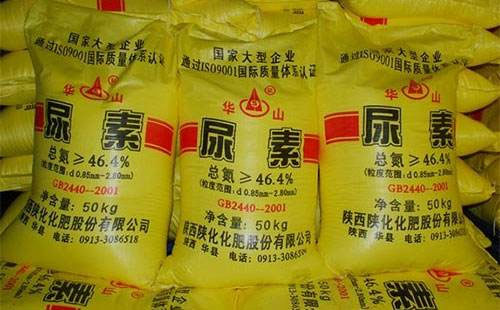 5�������Ј���ʎ�\�У�6�·ݾֲ�С�������