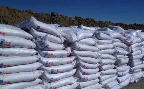 ⛷��Ј����F�ϝq���^��ԓ���ֆ���