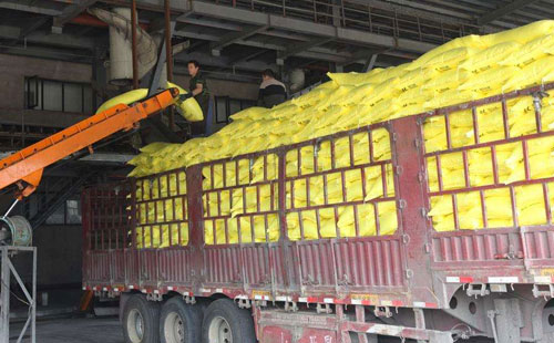 �������Ç������؏����ϝq�����غ����AӋһ·���