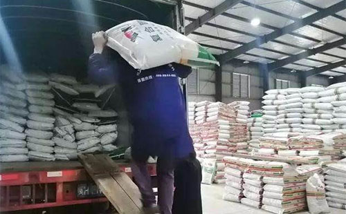 �����ס�⛺͏ͺϷʃr���ϝq������ԓ�����᣿