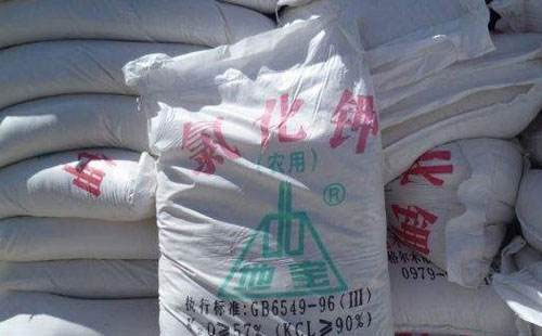 �Ȼ�⛲��q�t����һ�q��ͣ��������