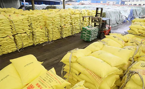 �A�y��2021�껯�ʳ���ӭ�������M�ڌ���������