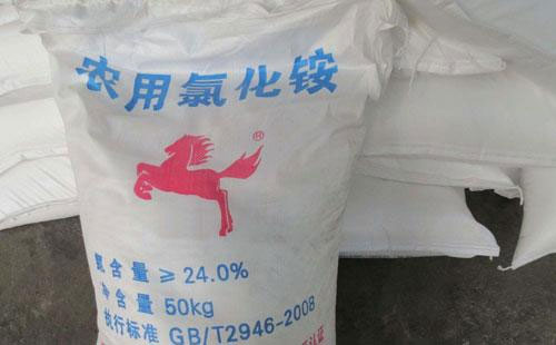 �Ȼ��@�Ј���ðl(f��)չ�������Ј��߄݂����P(gu��n)ע