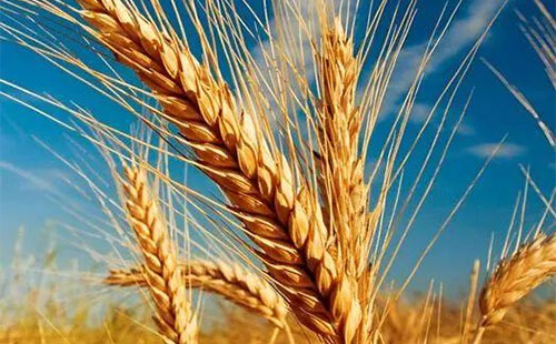 ��С��?zh��n)�ُ�r���ϝq�����û����Ј���