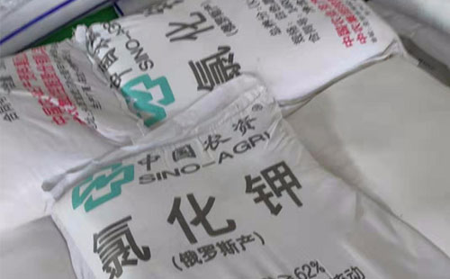 �Ȼ����M���M��������e���S�D