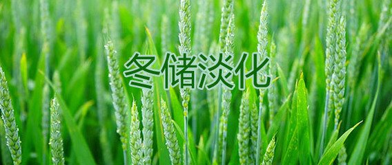 ��ʲô�ͺϷʶ�������᣿