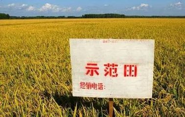 ʾ������ô�����r(n��ng)�Y�N�۱ز����ٵ�������