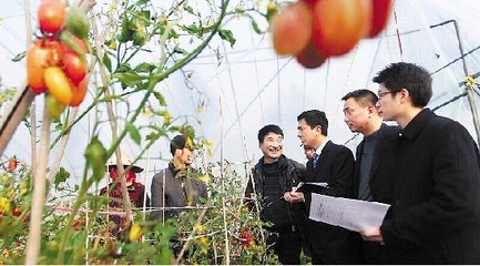 ���ϏS��ֱ�������硡�ǲ���Ҫ�[�����ˣ�