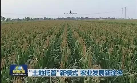 δ��10�����@�����r(n��ng)�Y��Ψһ��·��