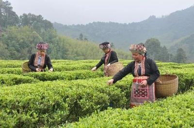 6��1�������¡��ЙC���ϡ��˜ʌ�ʩ��