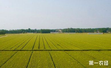 ɽ�|����9587�f�����û����r�� ���~����΄�