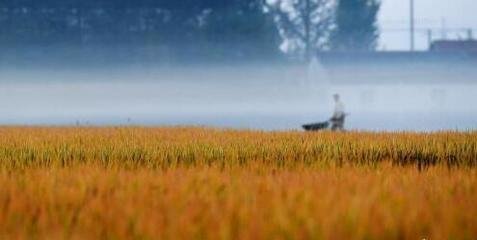 ȫ��(gu��)���M(j��n)�r(n��ng)��а��ش_��(qu��n)��ӛ�C�Cԇ�c(di��n)ʡ�����_(d��)28��(g��)